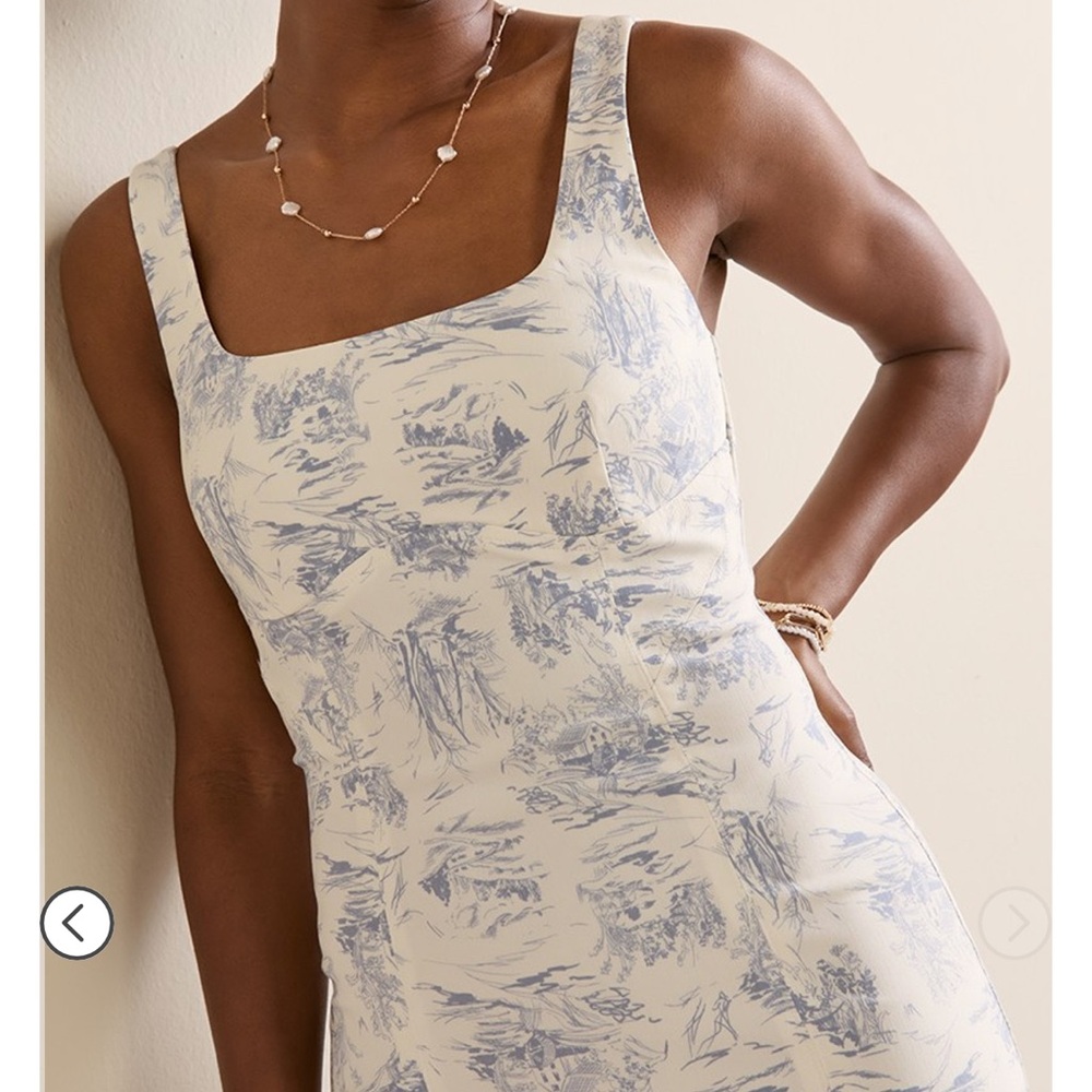 Blue and White Toile Dior Vibes Dress